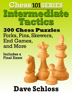 Chess 101 Intermediate Tactics